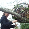 The Nest Project
