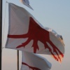 Hand in Hand Flags