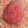 Untitled Detail