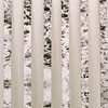 Ocean Birch