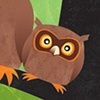Three Owls