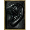 Lobes and Cavities (detail)