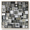 Specimens of Gray