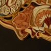 Tissue Series