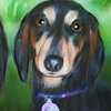 Bindi and Bosco