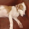 Helen, sleeping