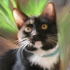 Sammy