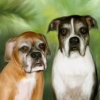 Cinnamon, Tango and Buster
