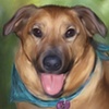 Bailey