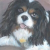 Oscar