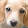 Betty