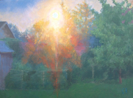 backyard: sunglare