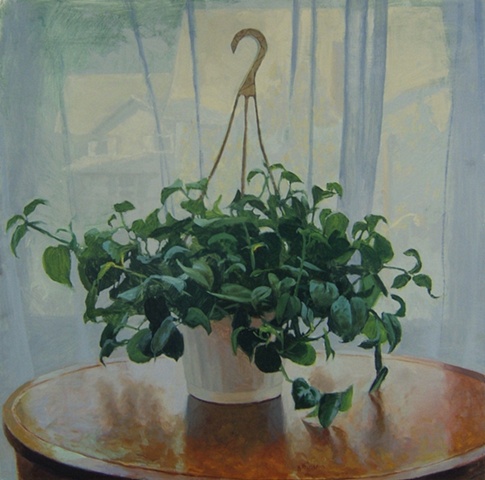 hanging plant