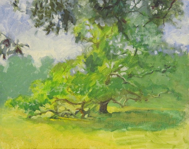 Old Tree Sketch I