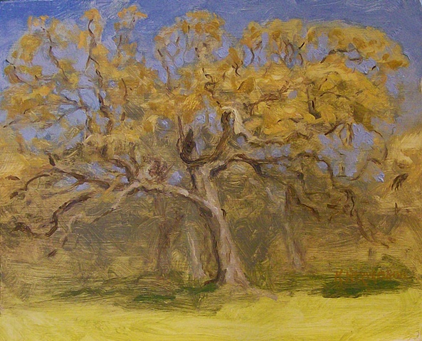 o.b. oak