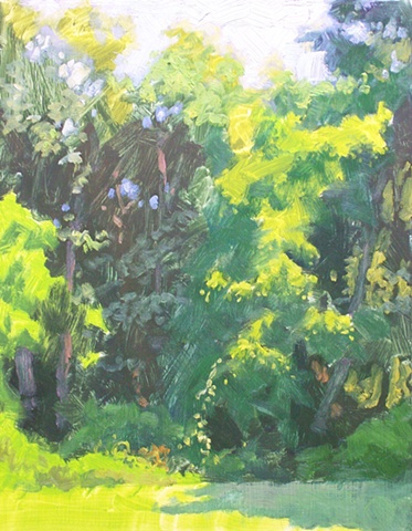 mercer trees