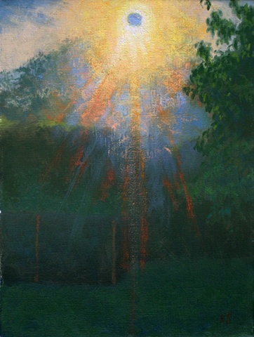 backyard: sunspot