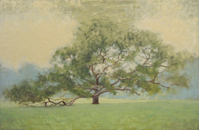 Elderly Tree