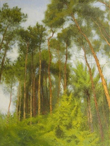 Houghton Trees (bendy)