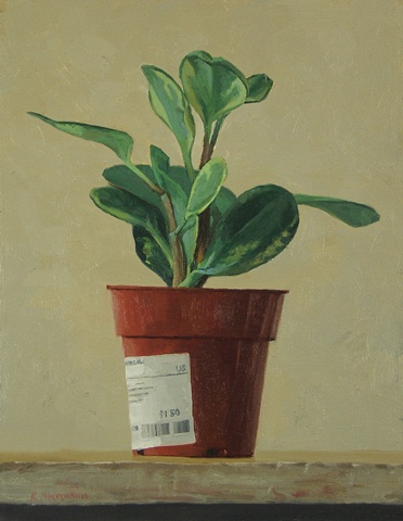 ikea plant