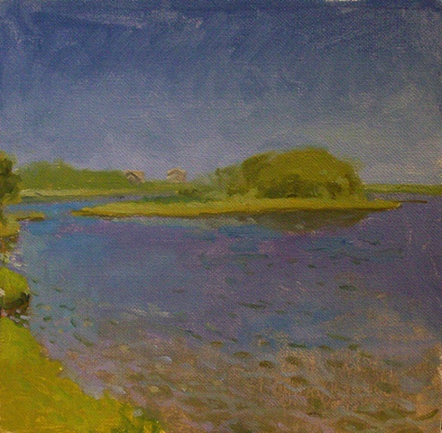 island study