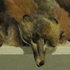 Fox Stole
