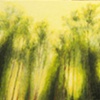 Houghton Trees (watery)