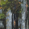 houghton pines