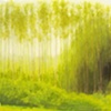 Houghton Trees (deep)