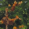 houghton pines IV