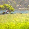 sunset lake