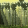 Houghton Trees (Backlight)