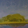 island study