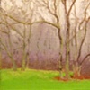 MV Forest Rainy