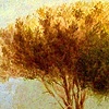 lake tashmoo
