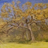 o.b. oak
