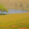 2007