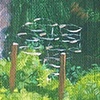 studio view garden