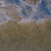 near cow bay