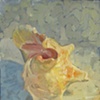Conch Demo