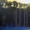 Houghton Trees (Shadows)