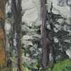 houghton pines II