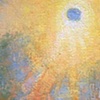 backyard: sunspot