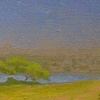 sentinels study