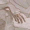 drawings