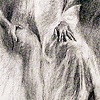 wanda atmosphere II