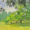 Old Tree Sketch I