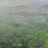 aquinnah haze
