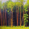 Houghton Trees (Homage to Porter)