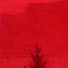 red twins